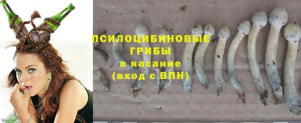 твердый Балабаново