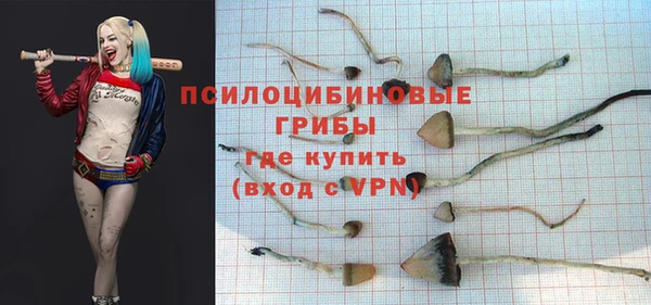 ГАЛЛЮЦИНОГЕННЫЕ ГРИБЫ Новодвинск