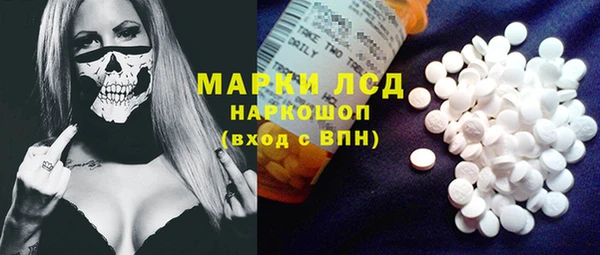 spice Новозыбков