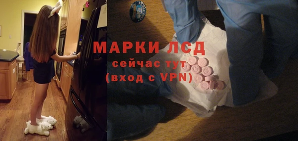 spice Новозыбков