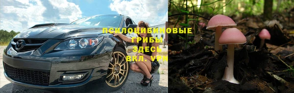 не бодяженный Нефтекумск
