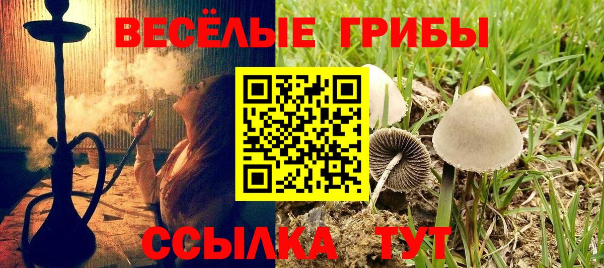 Галлюциногенные грибы Cubensis Невинномысск